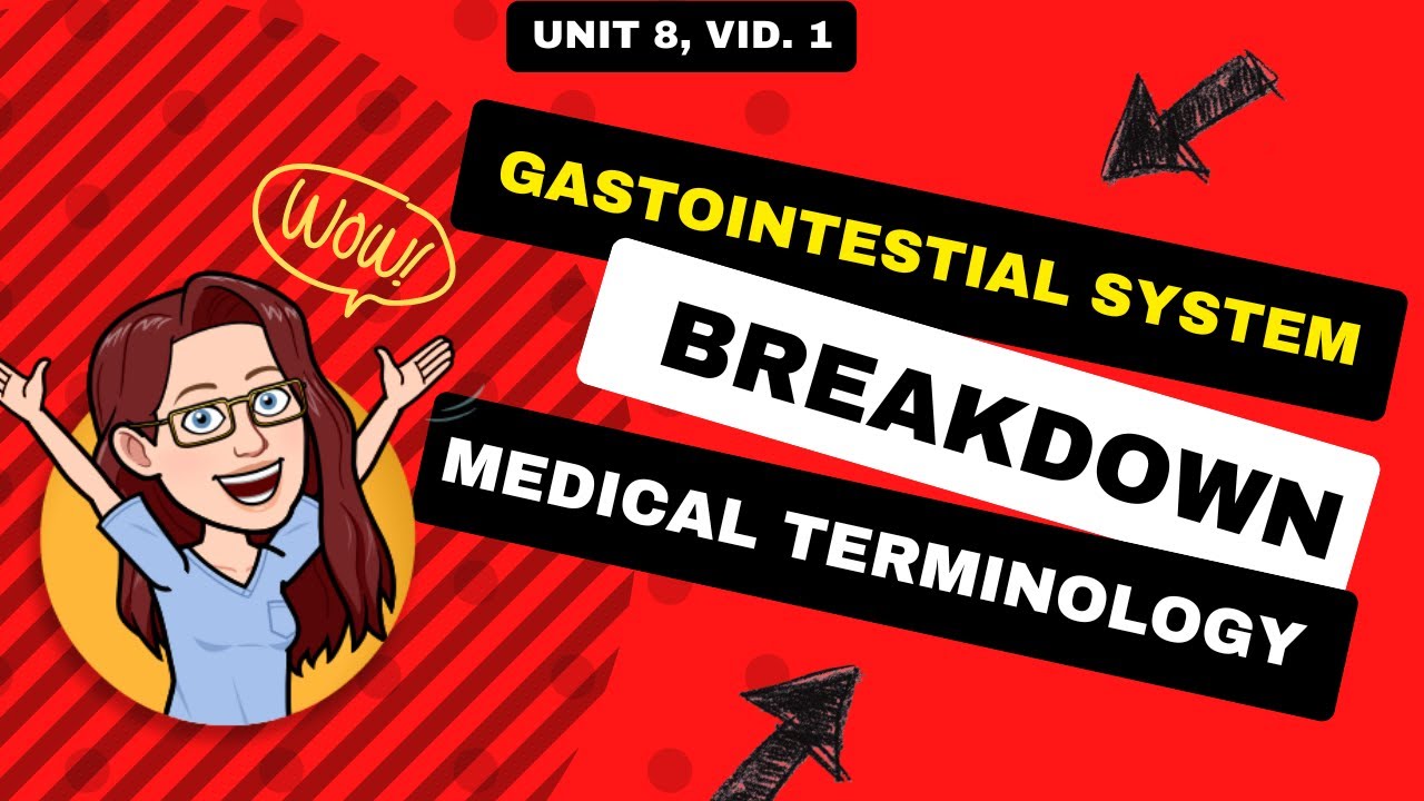 Active Learning: Medical Terminology: Gastrointestinal System Breakdown! 🏥📚 |  Unit 8, Vid. 1