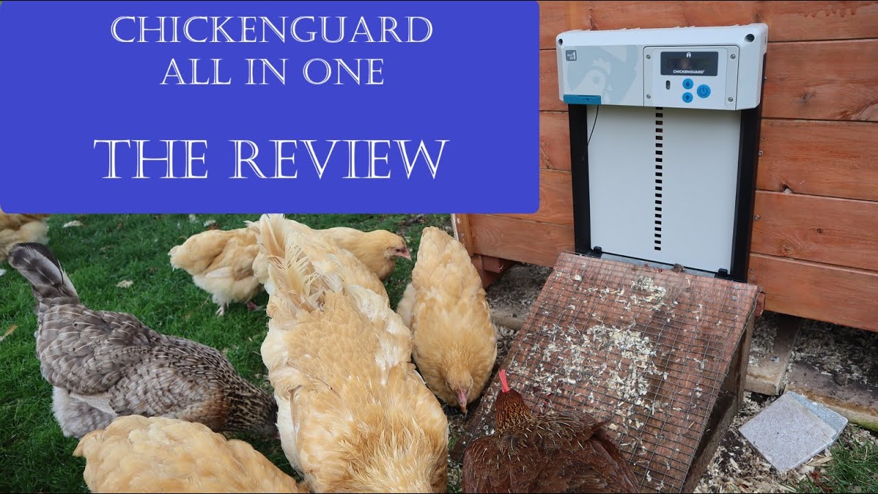 ChickenGuard 