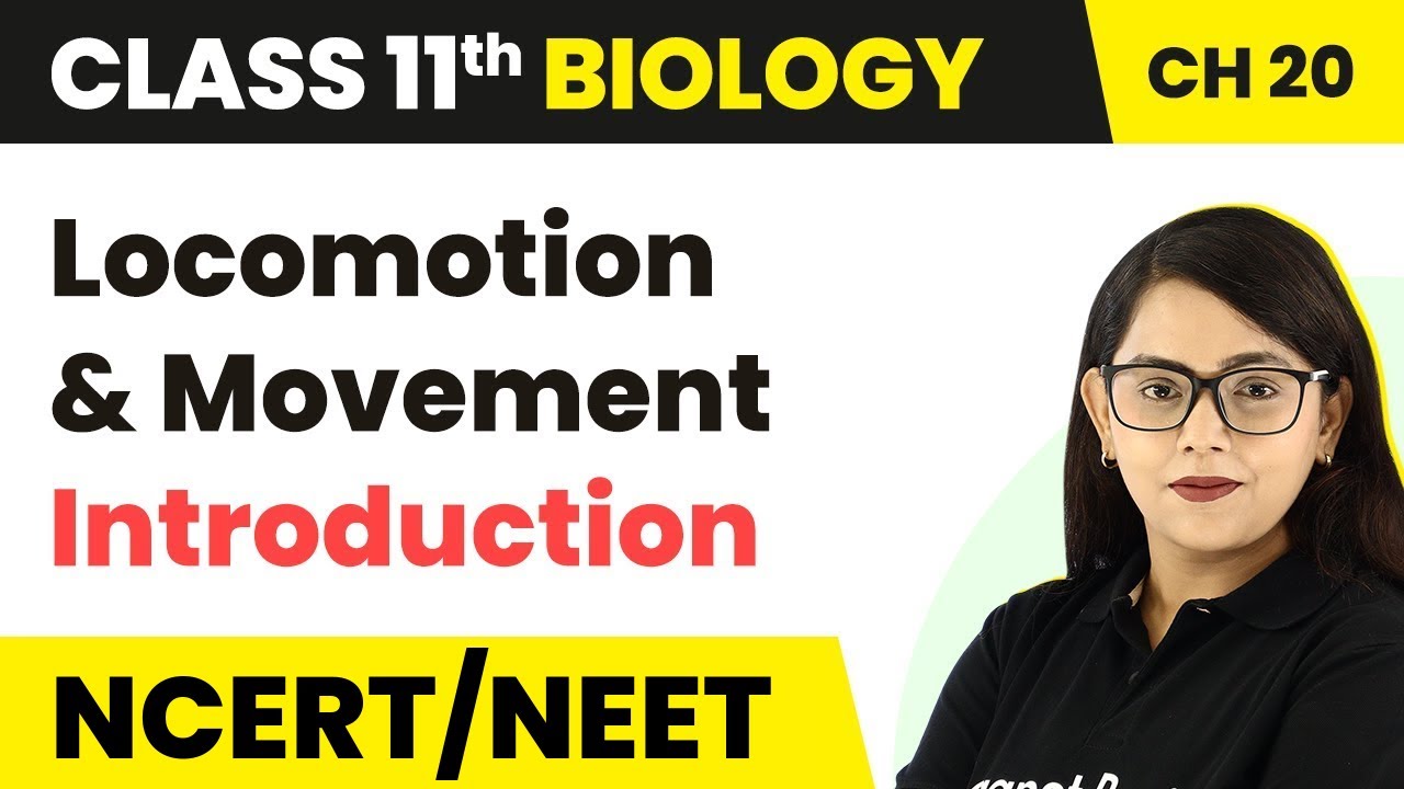 Locomotion and Movement - Introduction | Class 11 Biology