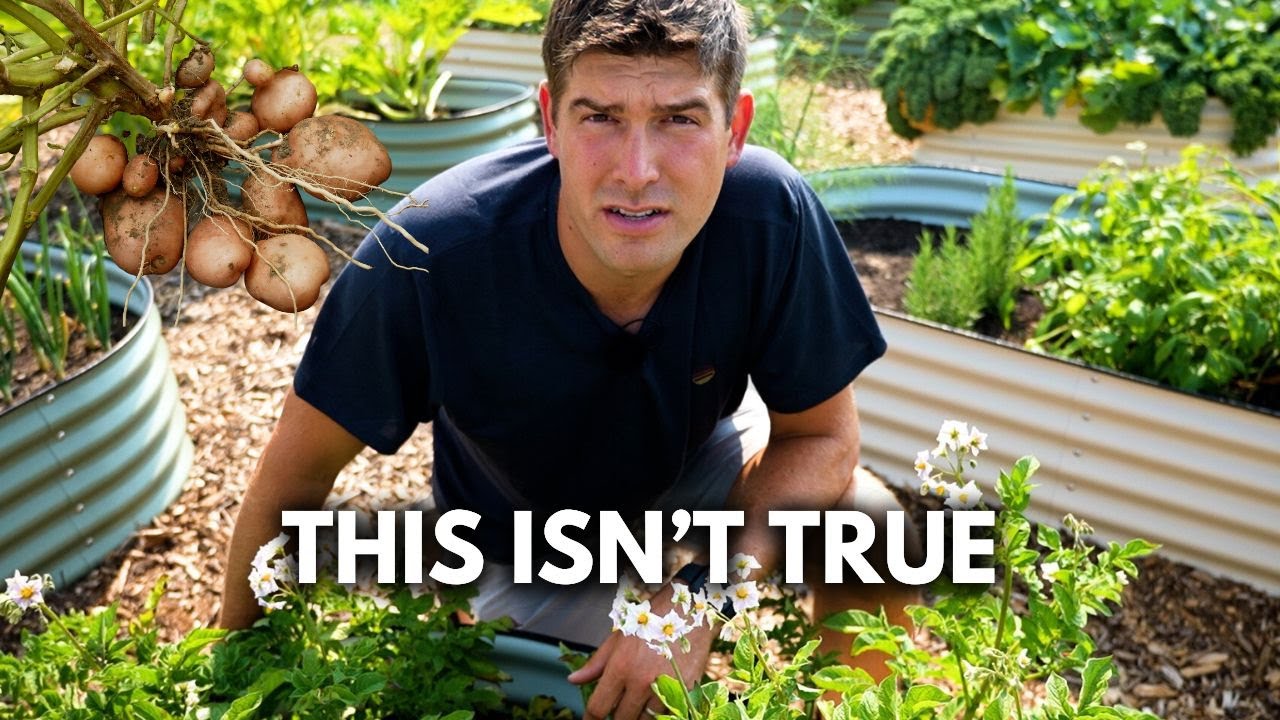 Don’t Believe These 4 LIES About Growing Potatoes! 