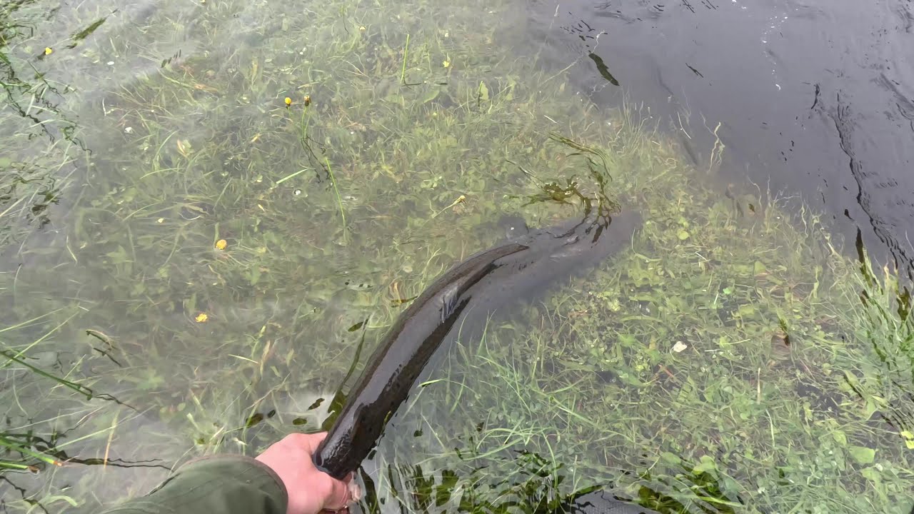 Lift-Off! - A Day's Salmon Fishing In Better Conditions (Summer 2025)