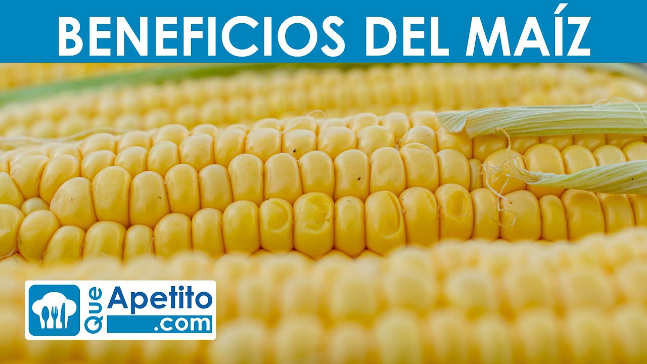 8 Propiedades y Beneficios del MAÍZ | QueApetito