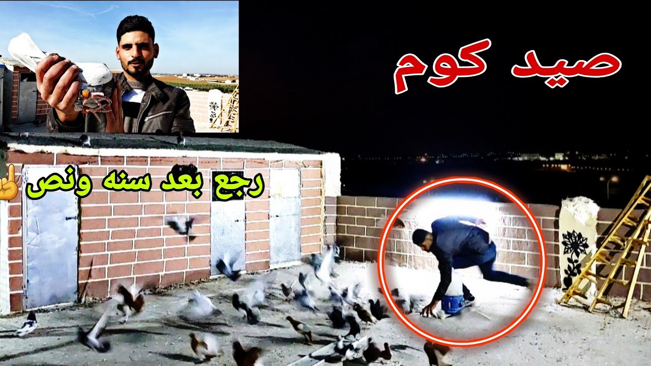 صيد اليوم كوم لليل ورجع طير بعد غياب سنه ونص