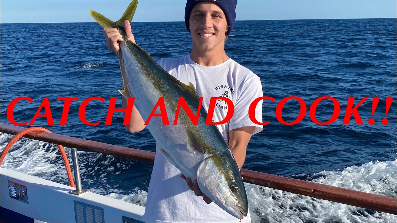 Late Season SURFACE IRON YELLOWTAIL | Catch and Cook