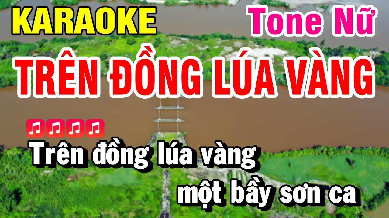 Karaoke Tr&ecirc;n Đồng L&uacute;a V&agrave;ng Tone Nữ ( Dm ) | Cha Cha Cha | Huỳnh L&ecirc;