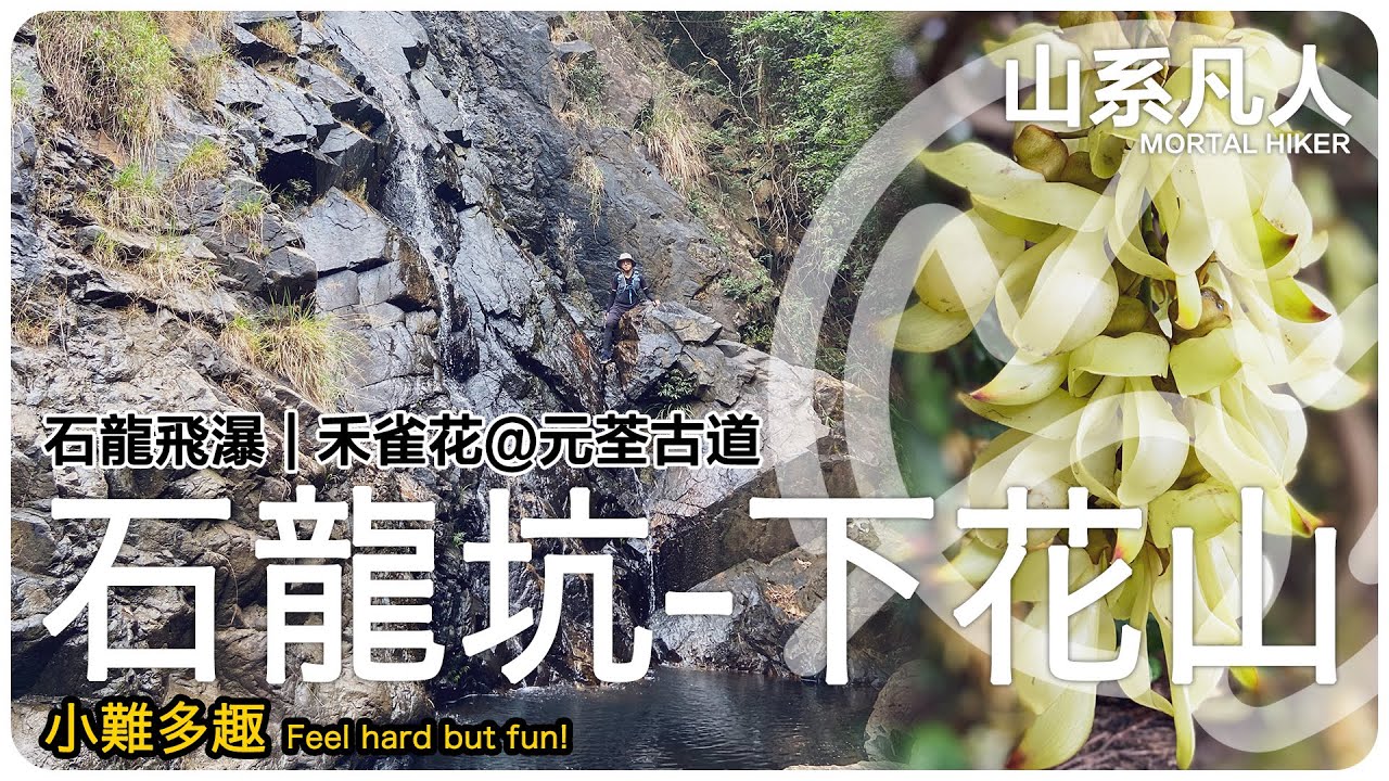 石龍坑｜石龍飛瀑｜下花山｜元荃古道｜禾雀花｜行山｜詳細路況｜山系凡人