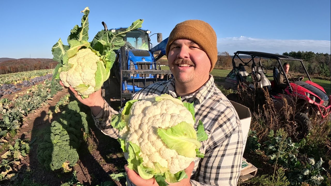 FLYING OBJECTS IN OUR FIELDS