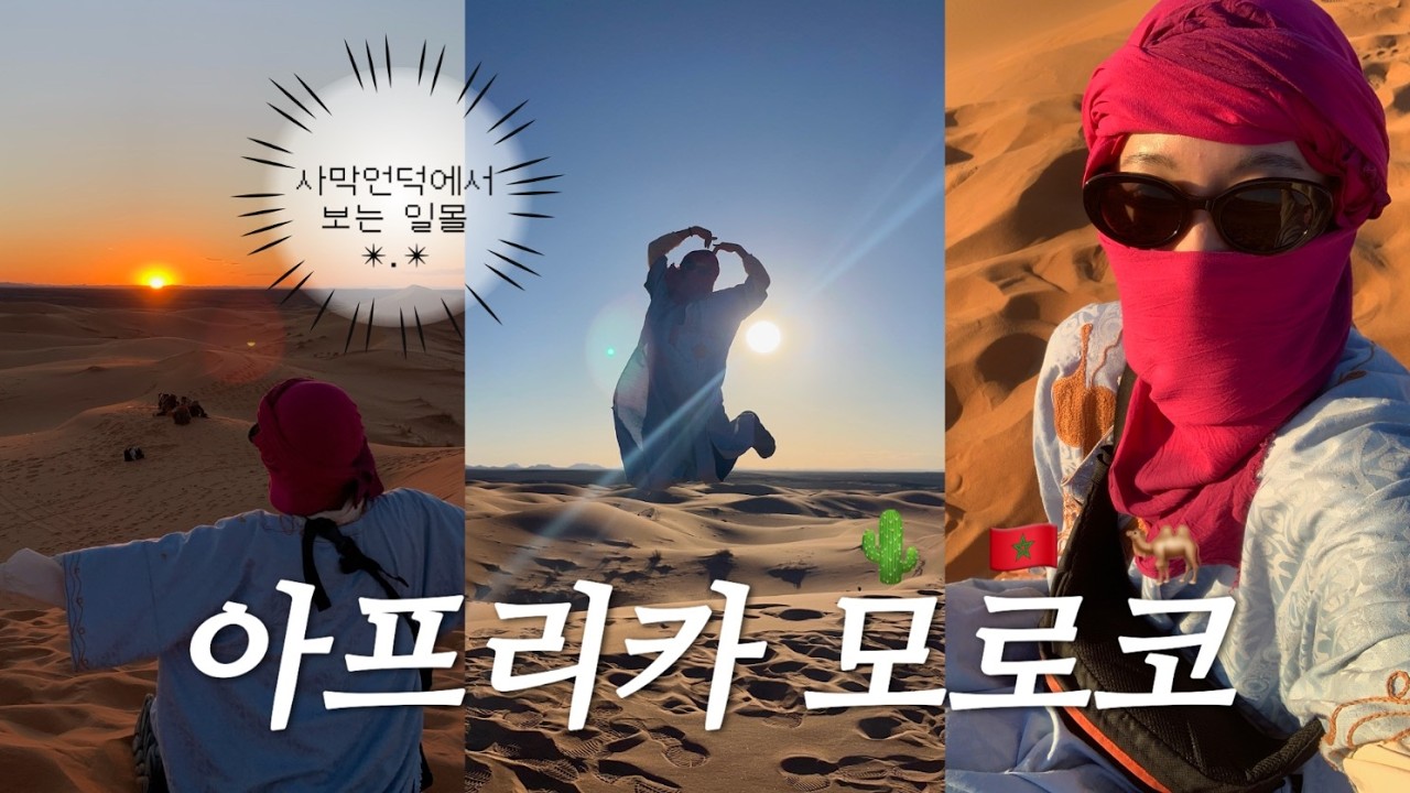 낙타 똥.. 보면서 투어하는 아프리카 모로코 브이로그🐫