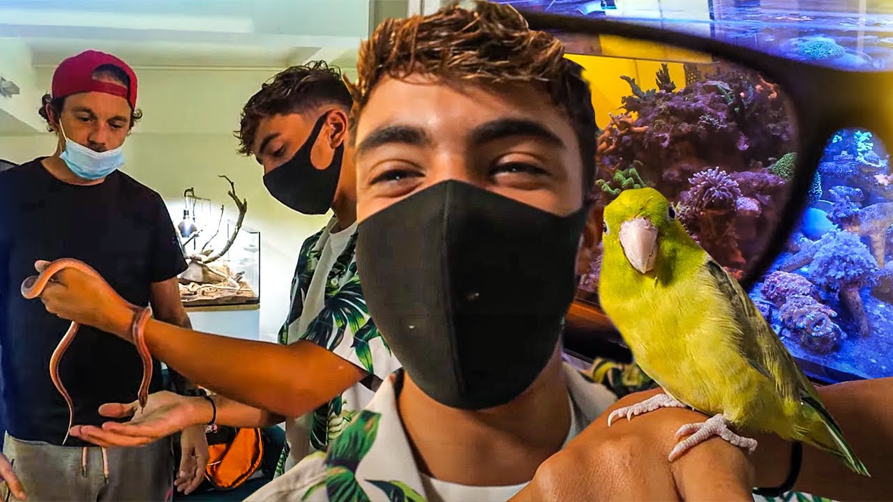 Je d&eacute;couvre le studio animalier pour acheter Wesley bient&ocirc;t (Serpents, oiseaux,) BestofVlog !