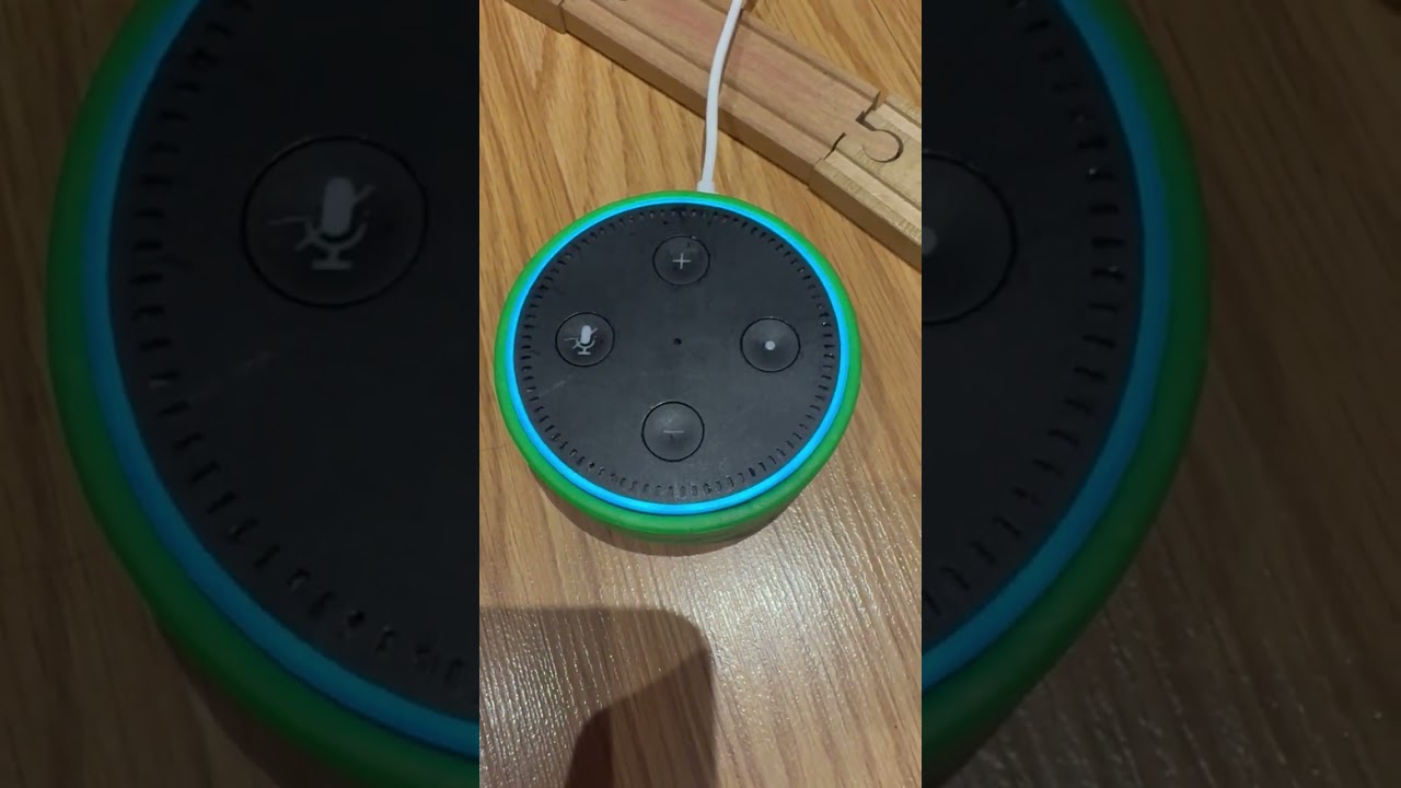 Me and my Amazon Alexa shopping list