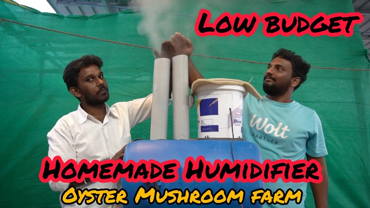 Low Budget Homemade humidifier/Mist maker for mushroom cultivation | oyster mushroom farming
