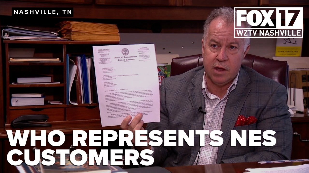 Lawmaker questions who represents NES customers outside Davidson County