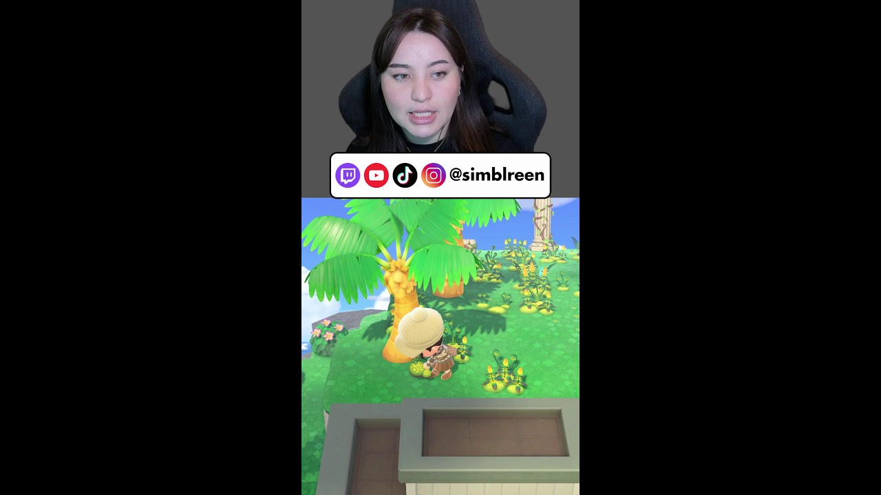 Let's Decorate! | Animal Crossing: New Horizons