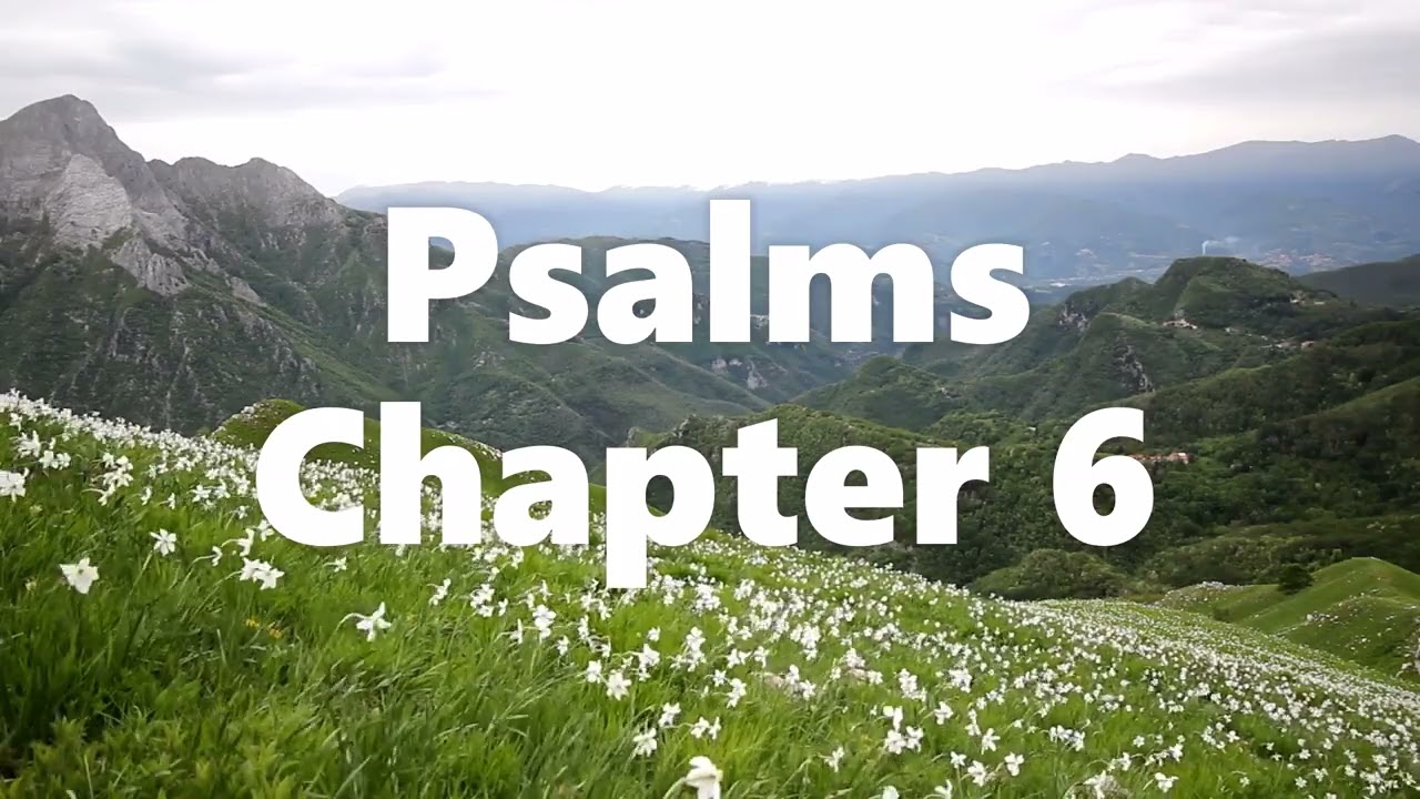 The Book of Psalms Chapter 6 - New King James Version (NKJV) - Audio Bible