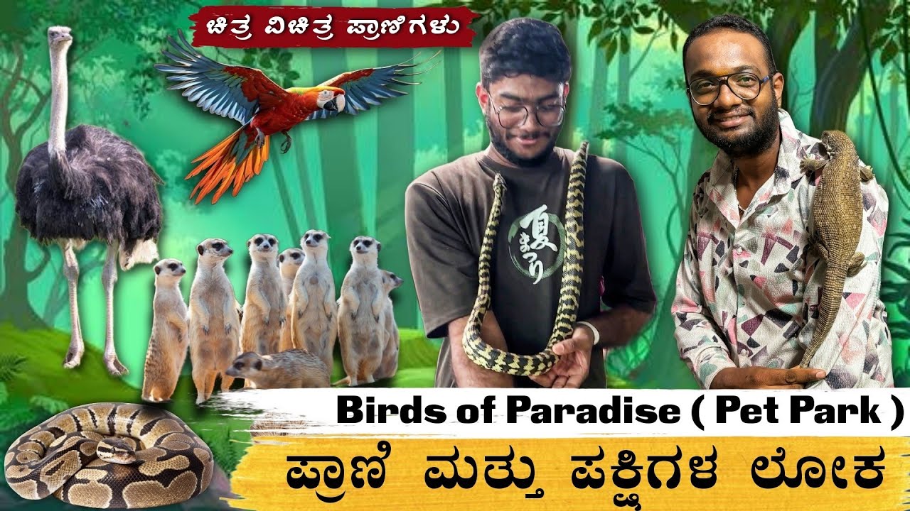 ಪ್ರಾಣಿ ಪಕ್ಷಿಗಳ ವಿಸ್ಮಯ ಲೋಕ 🌳| Birds of Paradise 🦜| Pet Park | Mini Zoo In Bangalore 🐐| #minizoo 🕷️🕸️
