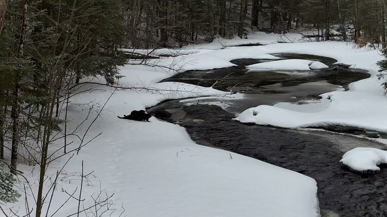 River Otter Family Ice Fishing Adventure | Full Winter Play Session in Nicolet National Forest