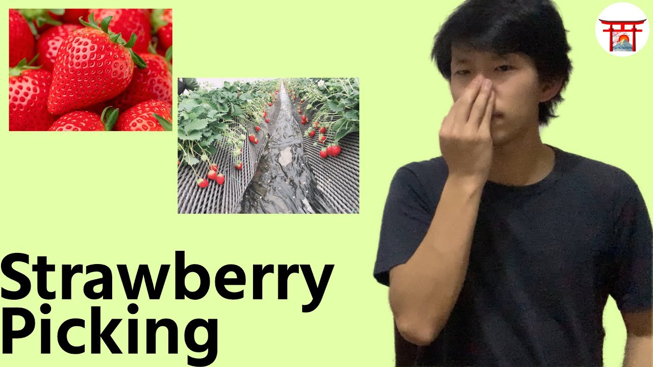 Did you know? | Strawberry Picking