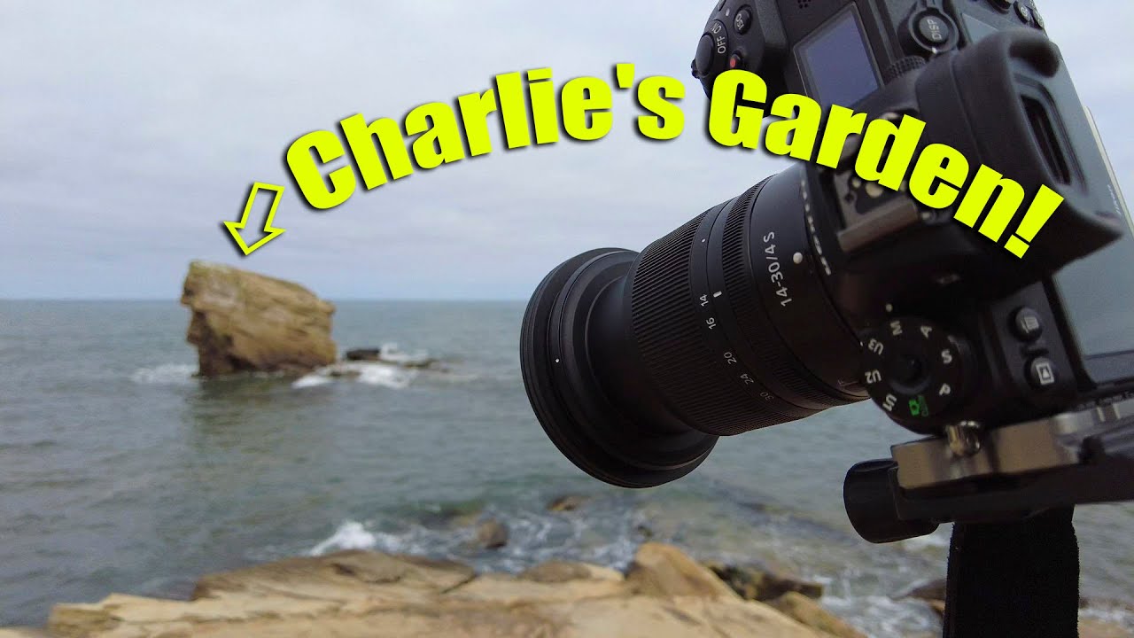 Photographing Charlies Garden & St. Mary's Lighthouse