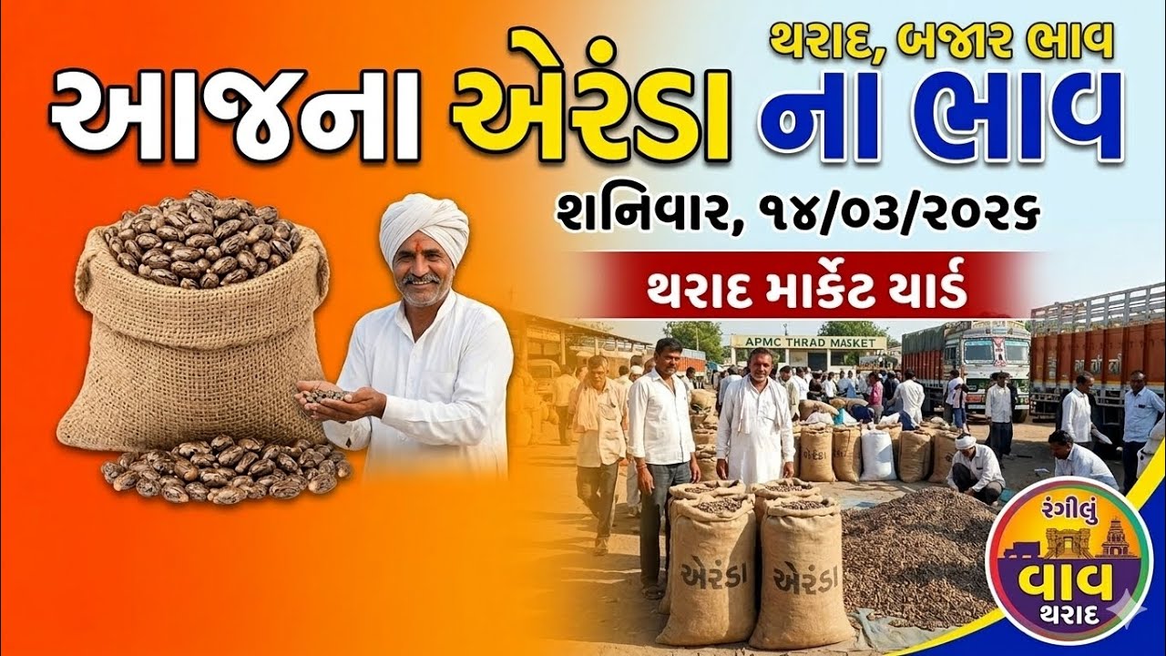 આજના એરંડાના ભાવ | થરાદ માર્કેટ યાર્ડ | eranda na bhav 2026