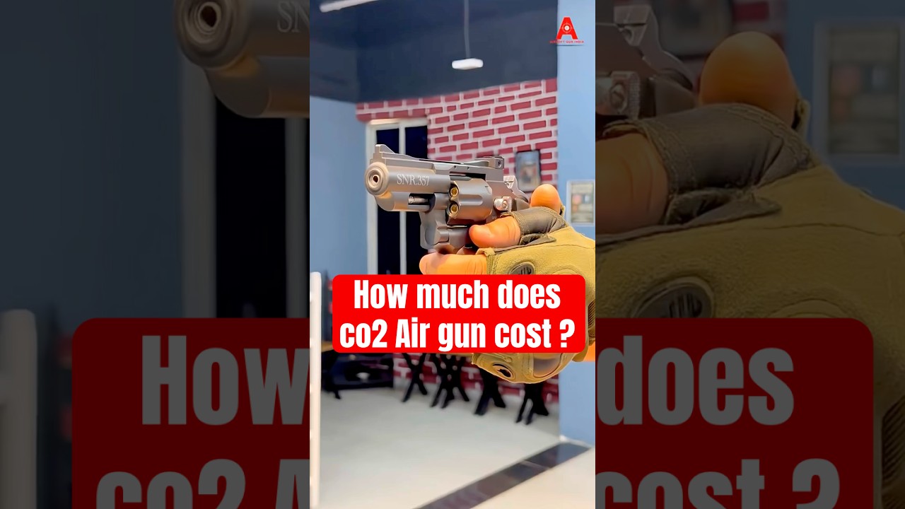 How much does co2 air gun cost in india 🇮🇳? #airguninindia #co2airgun #bbgun #shootingsports