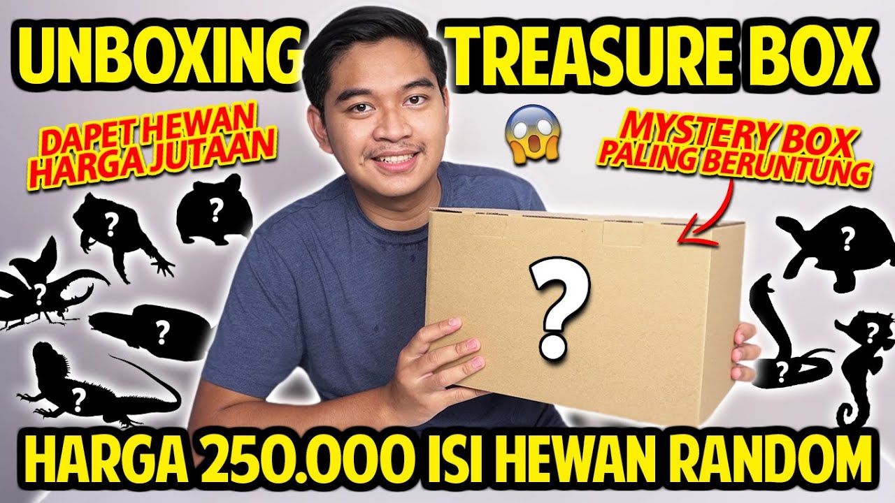 UNBOXING TREASURE BOX HEWAN HARGA RP 250.000 DAPETNYA HEWAN JUTAAN RUPIAH! JACKPOT PALING BERUNTUNG!