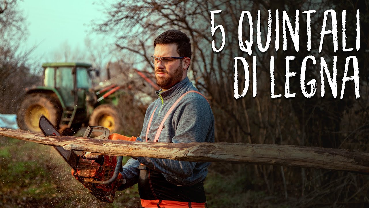 Vado a fare legna