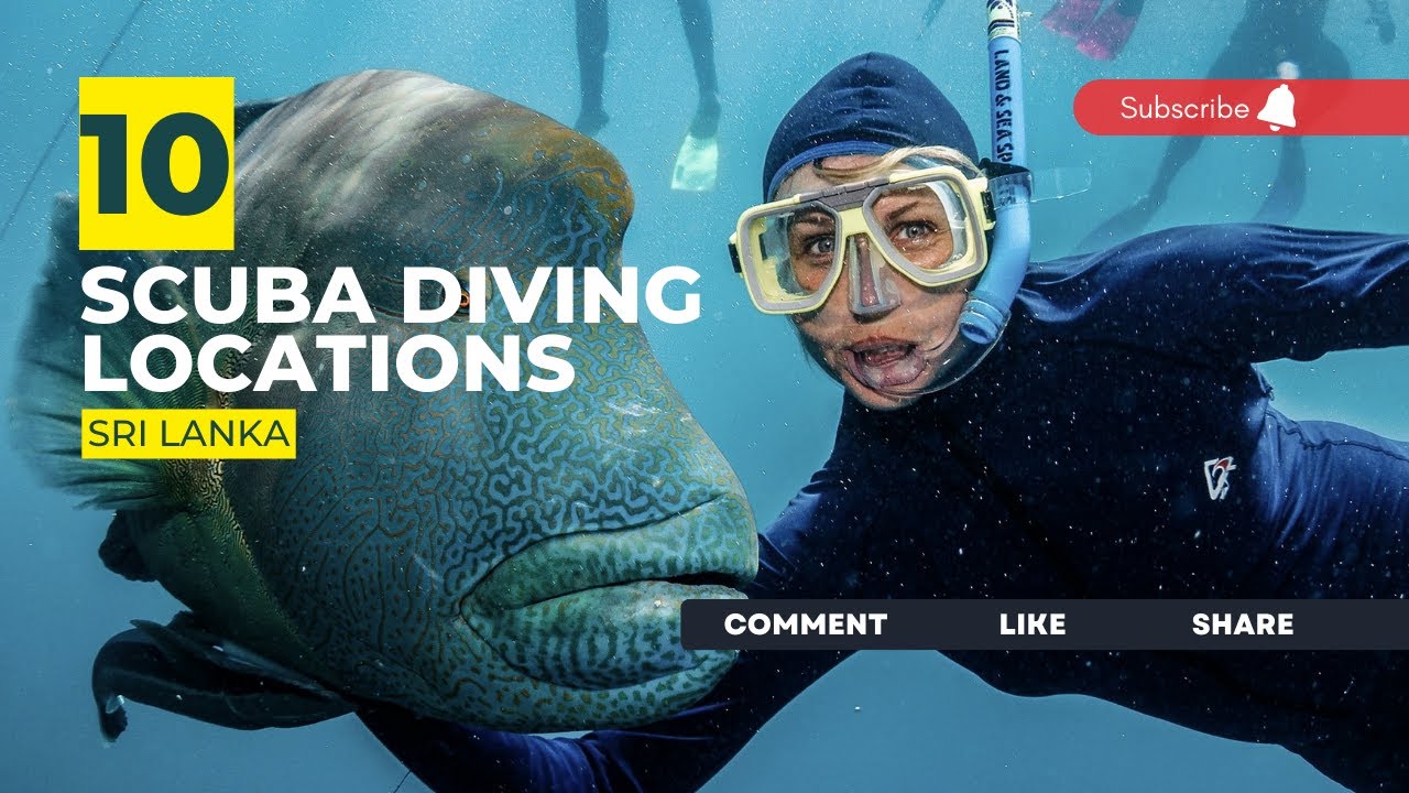 [2023] Sri Lanka Dive Sites That Will Blow Your Mind: Top Scuba Diving Locations