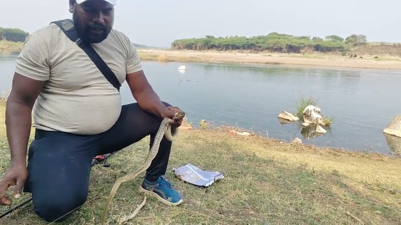 Langur k haath mein angoor fishing ni #fishing 