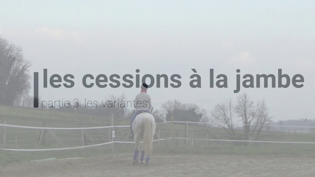 les cessions à la jambe: partie 3 les variantes