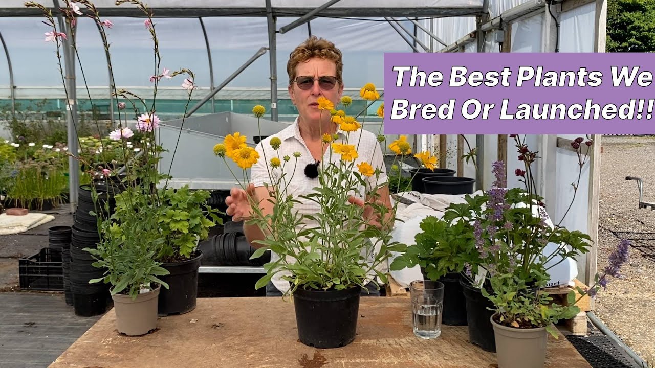 Plants We Bred Ourselves Or Launched Commercially