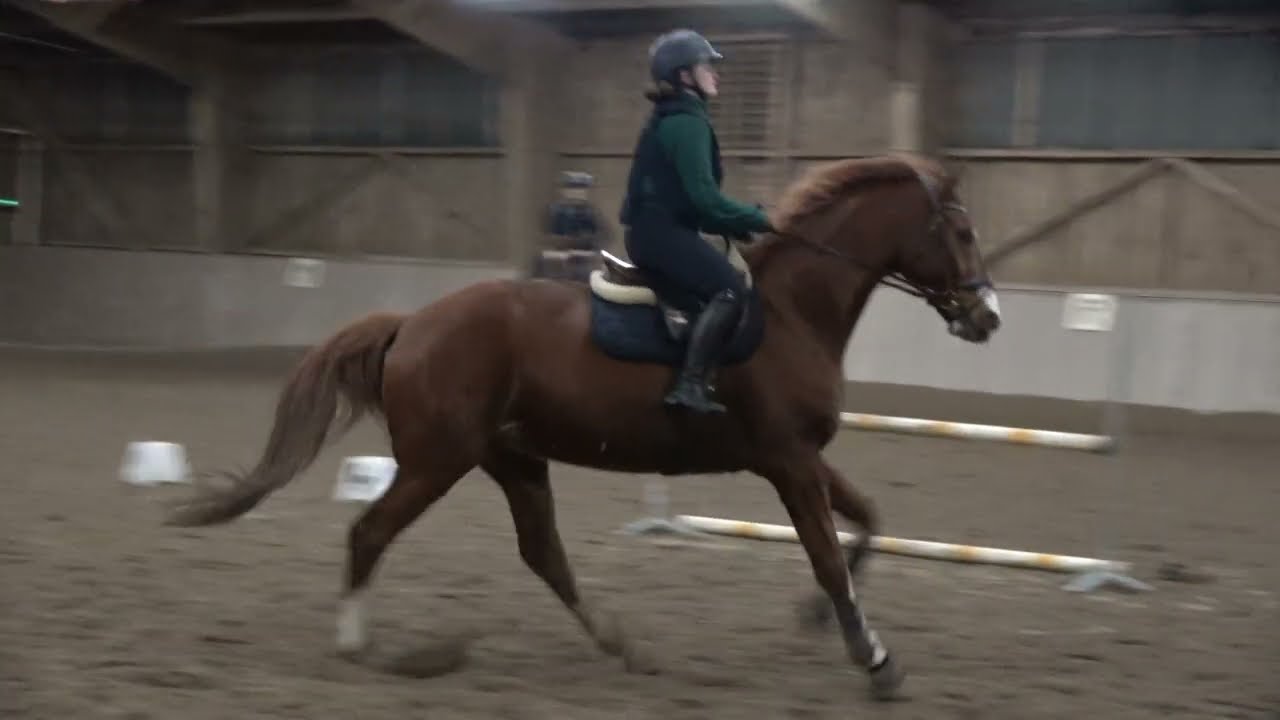 Etrier Sarthois Cours du 13/02/2026