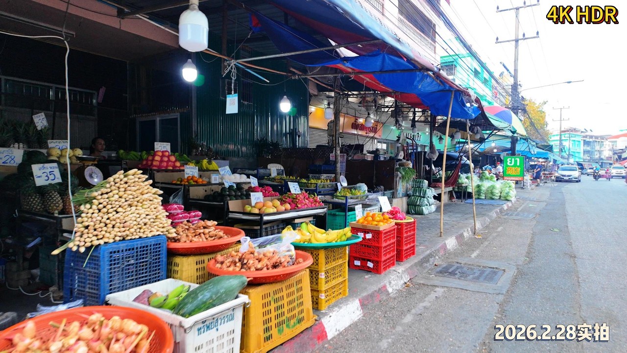🇹🇭 Chiang Mai’s Biggest Local Market 🇹🇭 24 Hours at Muang Mai Market | 清迈最大本地批发蔬菜市场