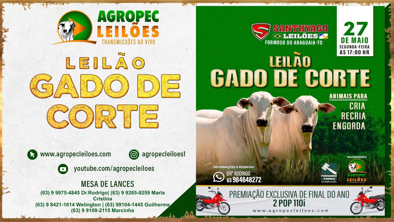 Agropecleiloes.com - LEILÃO GADO DE CORTE  | SANTHYAGO LEILÕES - FORMOSO DO ARAGUAIA-TO| 27/05/2024