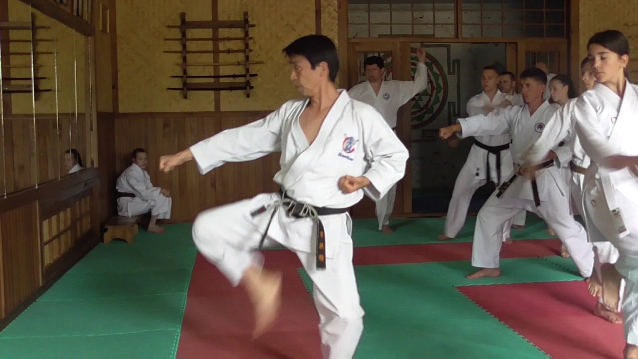 Seminar by Nukina Ukraine 2018 baze of Wado Kihon kumite  // Part 2