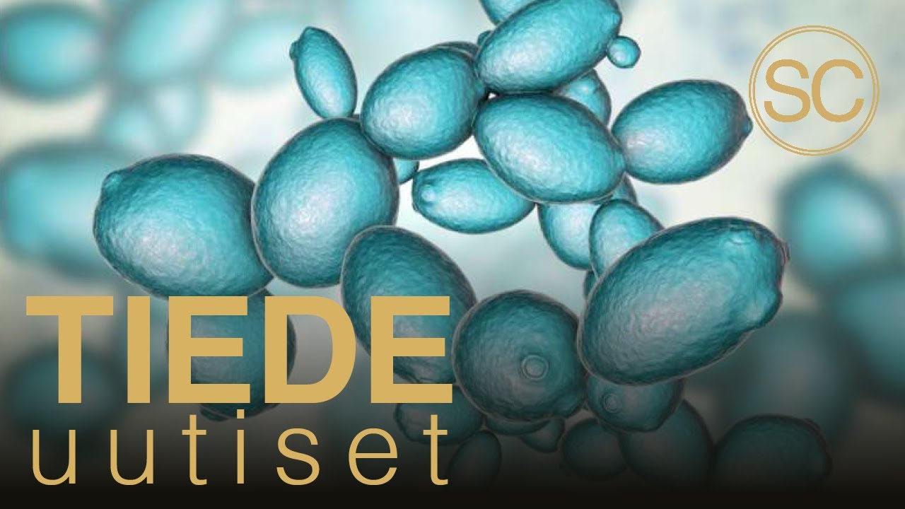 Tiedeuutiset 232 | Valo ja magneettisuus, neutriinot, biologinen mikrosiru, synteettinen elämä..
