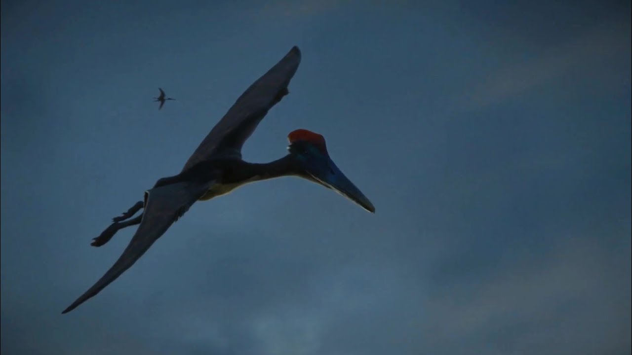 Life On Our Planet [2023] - Pterodactylus Screen Time