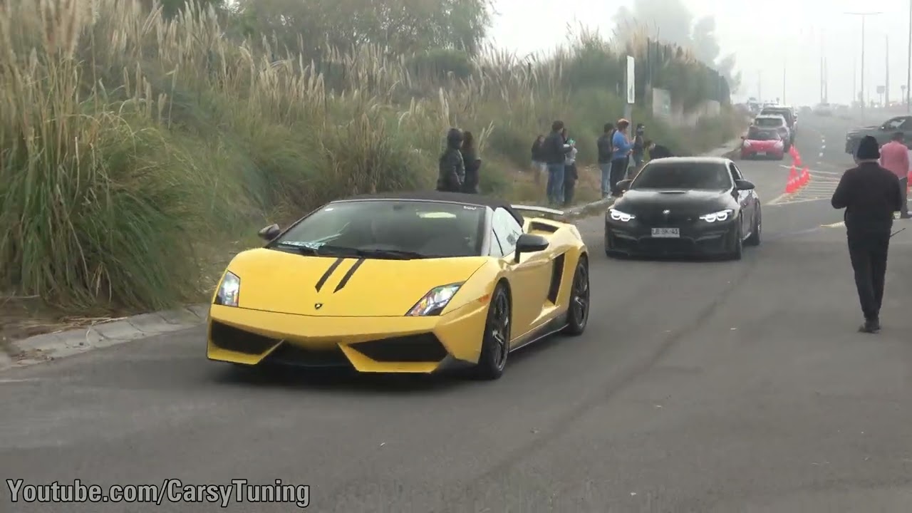 Llegadas del Top Marques 2023!