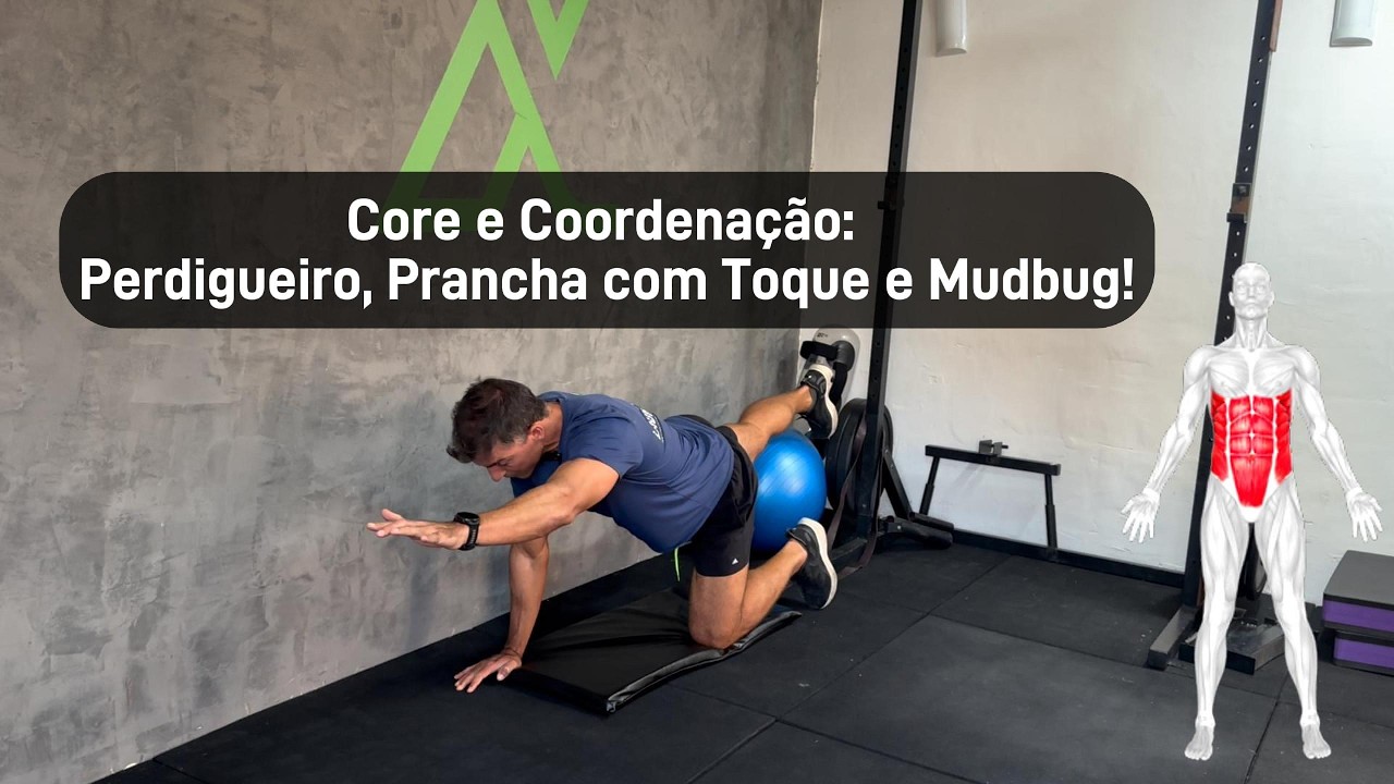 3 Exercícios ESSENCIAIS de Estabilidade de Core para Iniciantes e Avançados