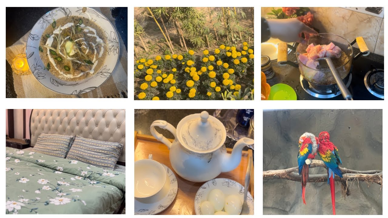 Slow Living Silent Vlog 2026| Cozy Morning Routine, Zoo Day & Makhmali Chicken Handi