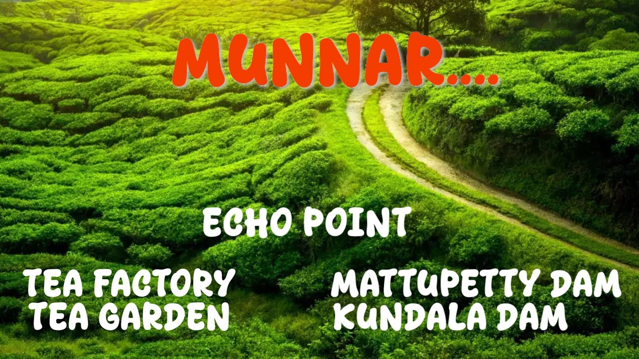 Munnar- Best 5 Places to Visit | Kerala Trip Part 8 | #Blossomgarden #journey #yatra #travel #trip 
