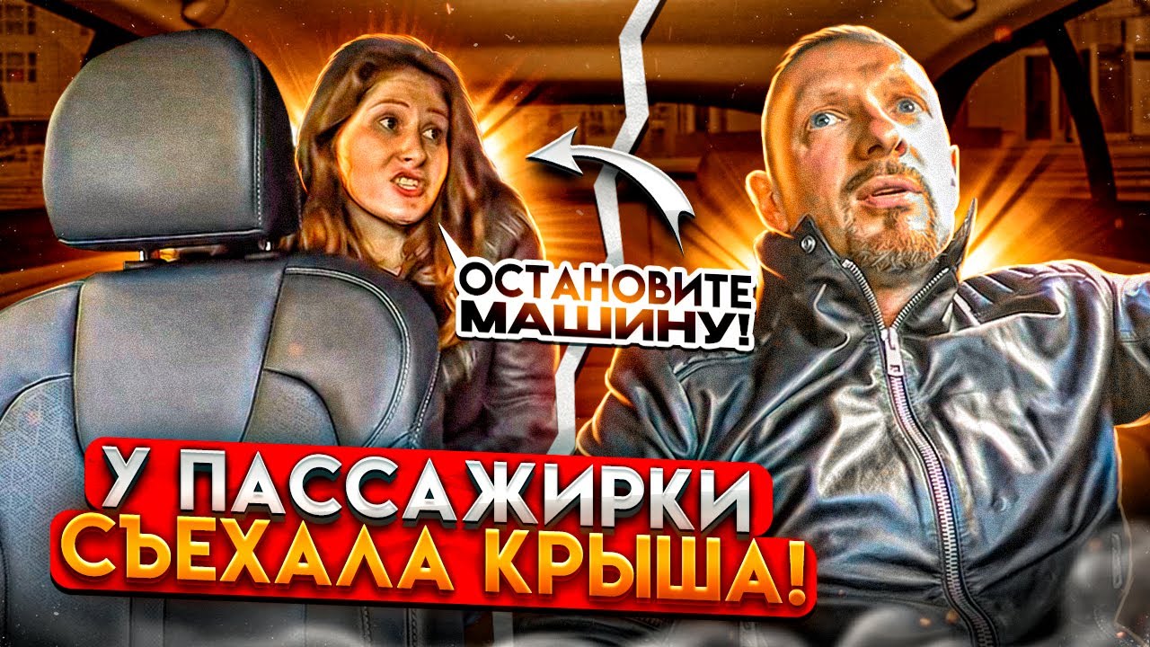 Злая пассажирка облаяла таксиста