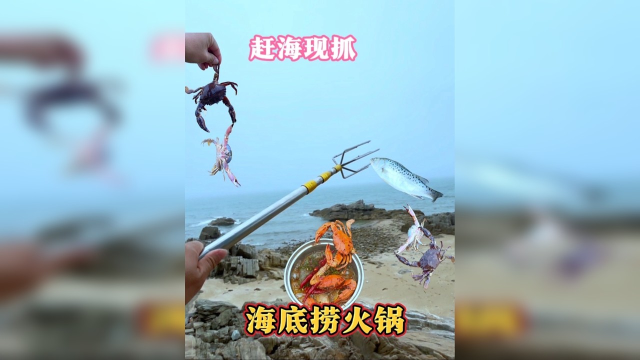 今天赶海现抓现吃，发现了一条漂亮的小鱼，还有一对抢食吃的大螃蟹，真是太有趣了。