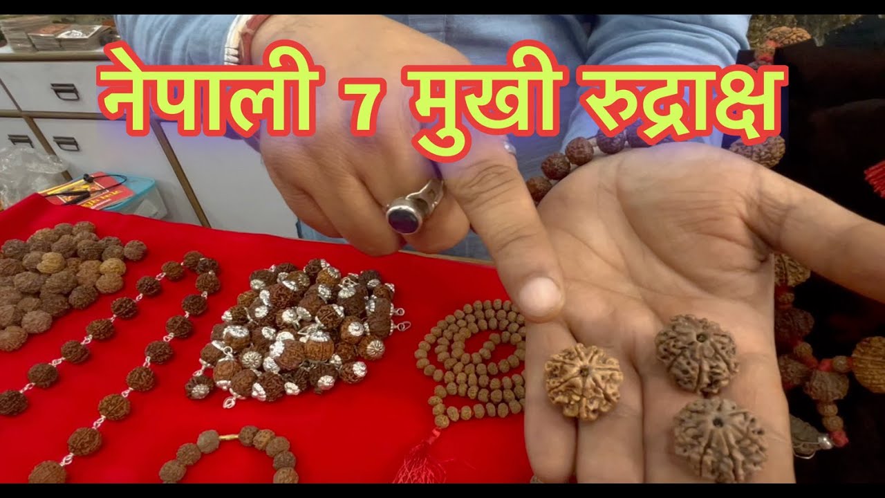 Haridwar's Most Famous Market | 7 Mukhi Rudhraksha | #haridwar #haridwarmarket