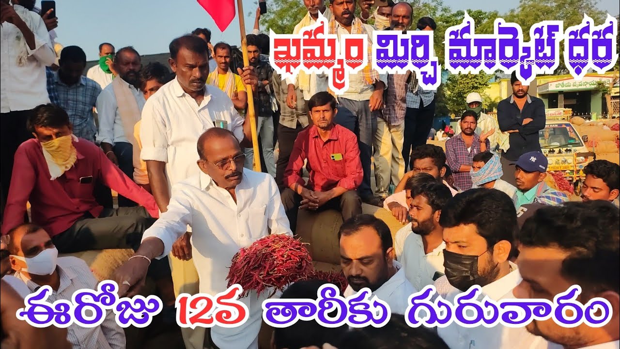 12/03/2026 khammam mirchi market price khammam mirchi market today #dharalu #mirchi#mirchiratetoday