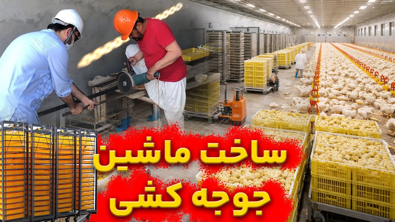 ساخت نخستین ماشین جوجه‌کشی توسط انجنیران پرندگان خانگی