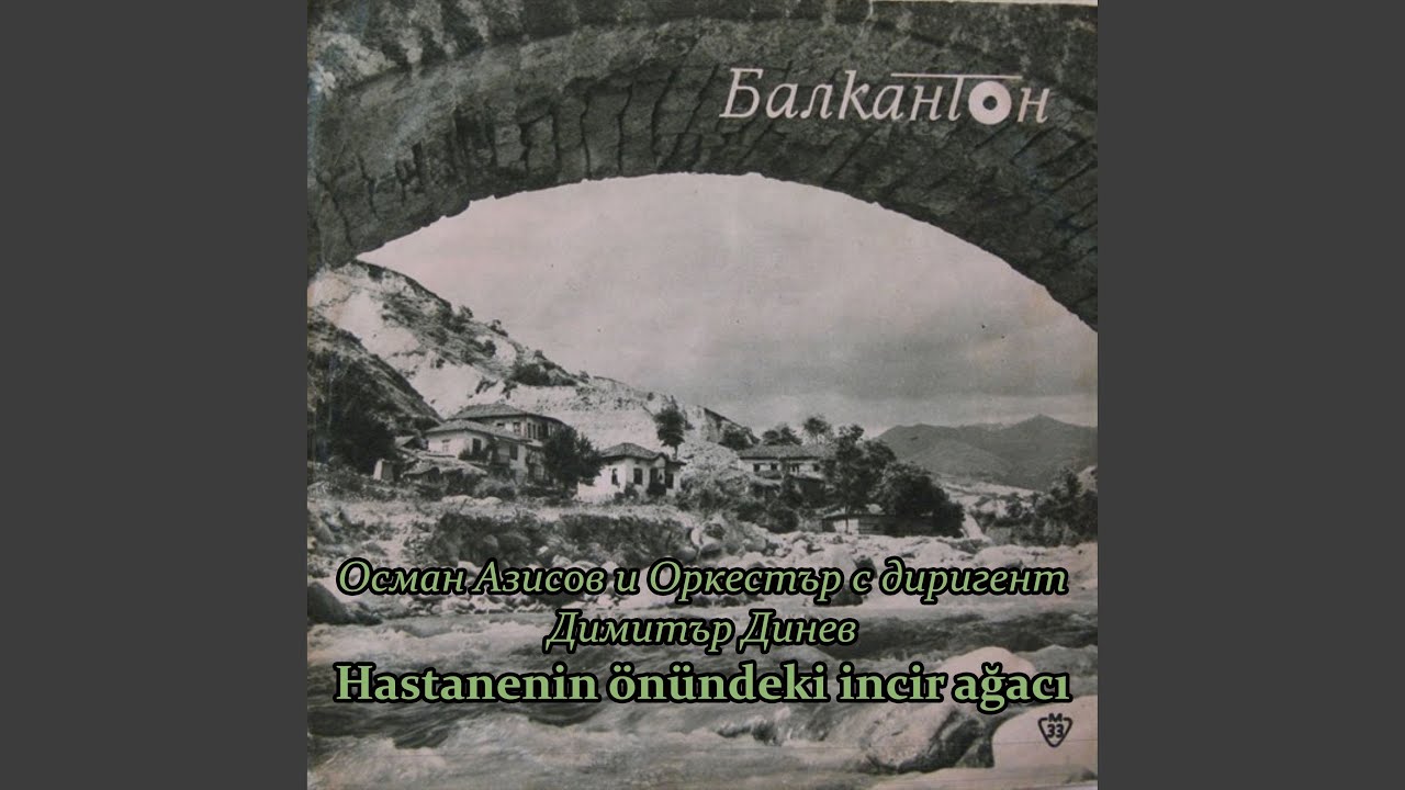 Hastanenin önündeki incir ağacı