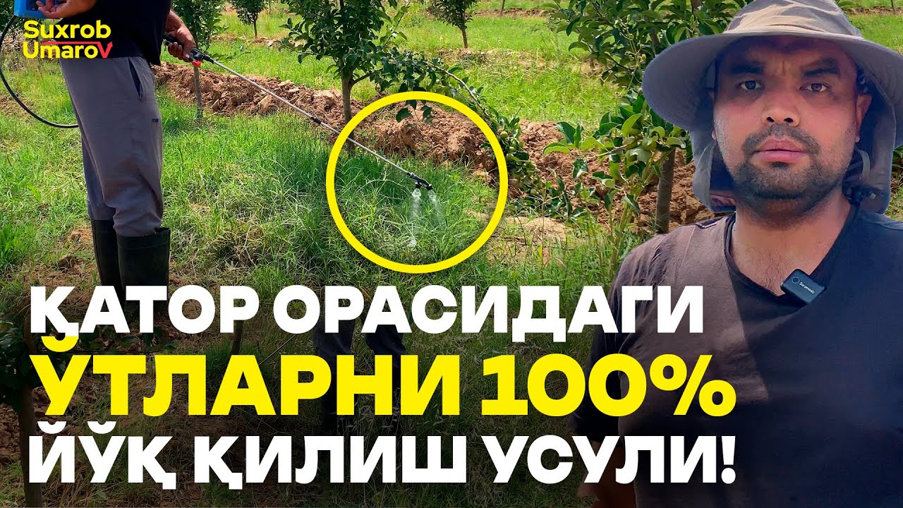 35 МИНГ СЎМГА Ўтларни Бутунлай Йўқ Қиламиз!