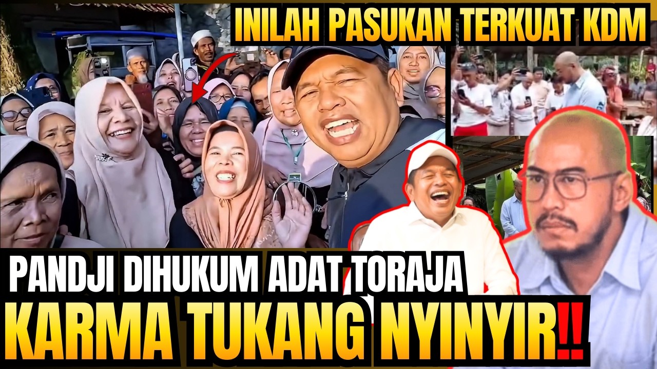 Karma‼️Pernah ngataen DEDI MULYADI artis youtube, Pandji Komika akhirnya dihukum adat Toraja - KDM