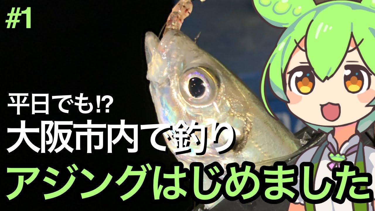 【アジング】初心者が初めて釣るまで何日かかるのか？【ずんだもん実況】#1 釣行録 - 1/1～1/17