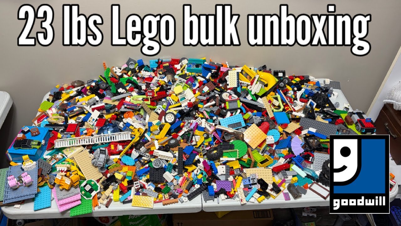 I bought 23 lbs of Lego from Goodwill